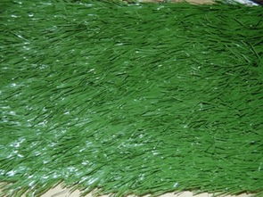 图 北京塑料草坪厂家塑料草坪批发 北京鲜花绿植